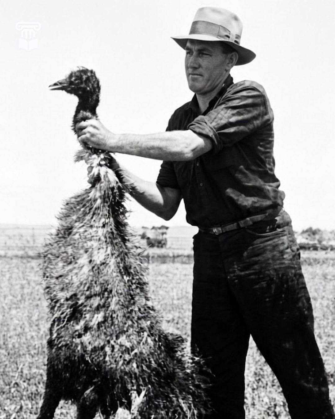 THE GREAT EMU WAR
